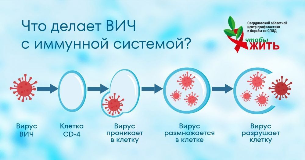 Что делает ВИЧ с иммунной системой?